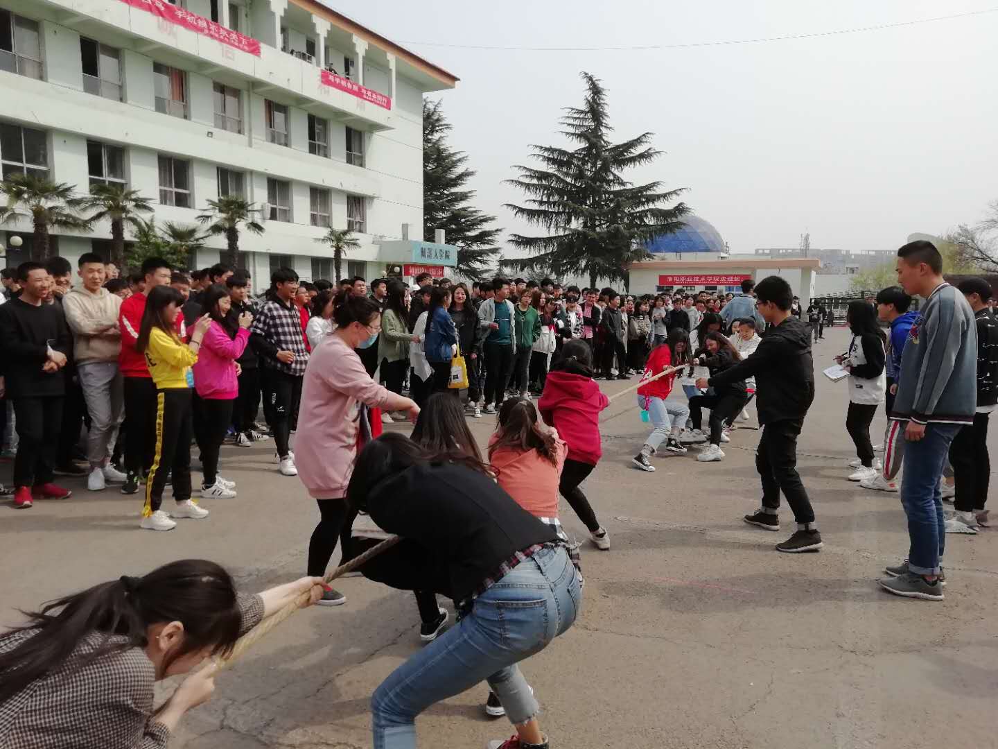 5ca1f7e0f3275.jpg 5ca1f7e0f3275.jpg