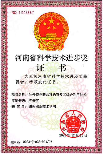 IMG_20240378_151407841.png