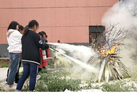 5cc503c102875.png 5cc503c102875.png