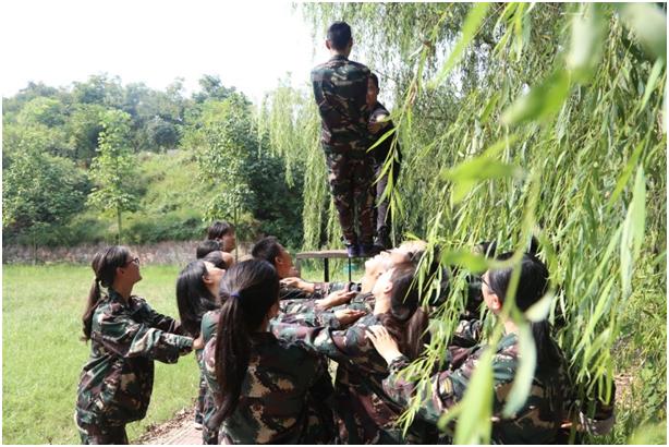 5b8612bcc68b4.JPG 5b8612bcc68b4.JPG